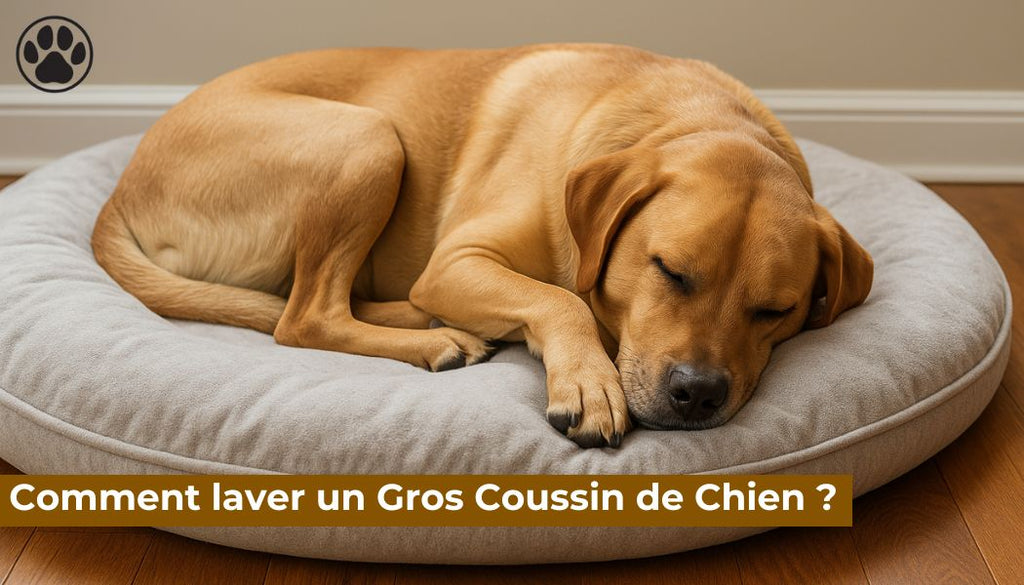 Comment laver un Gros Coussin de Chien ?