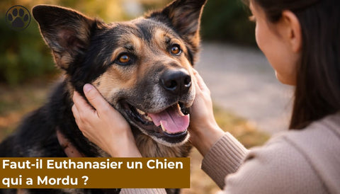 Faut-il Euthanasier un Chien qui a Mordu ?