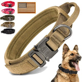 Collier Chien Berger Allemand