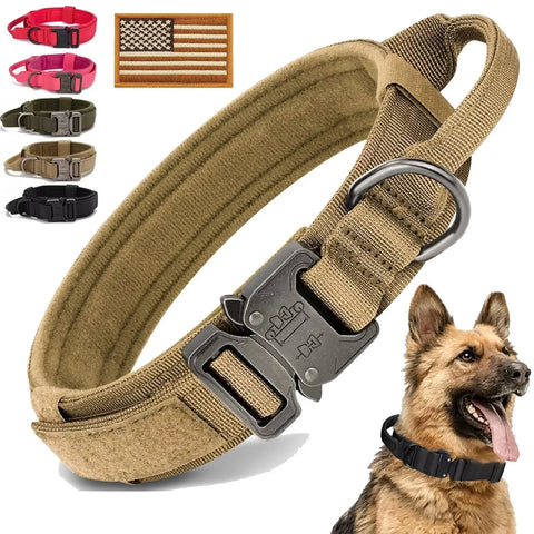 Collier Chien Berger Allemand