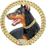 Collier Chien Doré