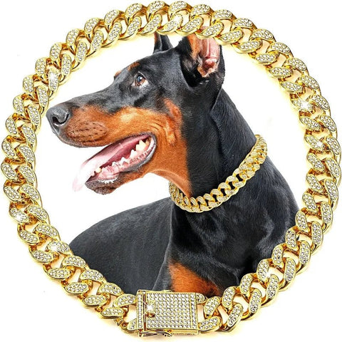 Collier Chien Doré