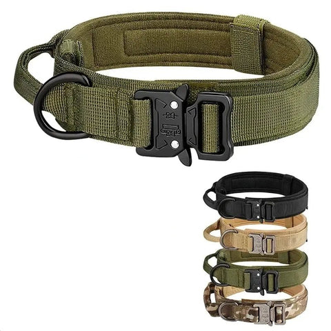 Collier Chien Militaire