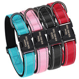 Collier Chien Réfléchissant