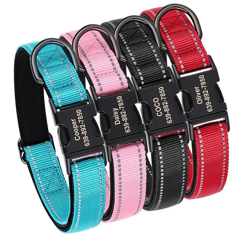 Collier Chien Réfléchissant