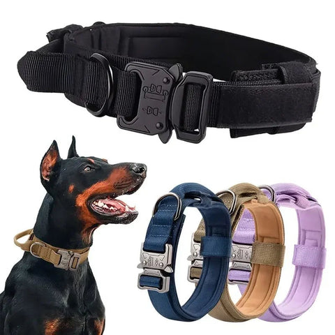 Collier Chien Tactique