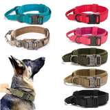 Collier Militaire Chien