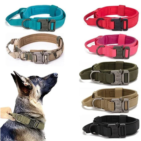 Collier Militaire Chien