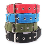 Collier Pour Chien