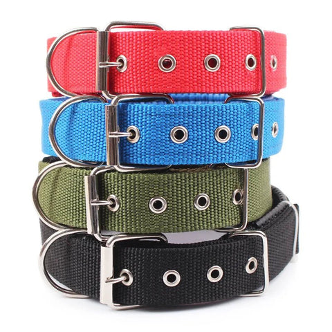 Collier Pour Chien