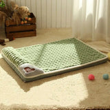 Coussin Hiver Chien