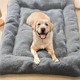 Coussin pour Chien XXL