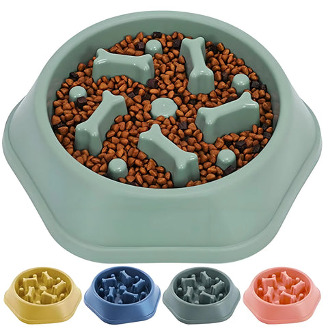 Gamelle Anti Glouton Chien