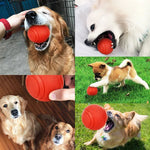 Jouet Balle Chien