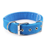 Collier Pour Chien