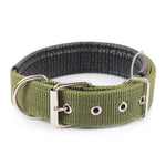 Collier Pour Chien