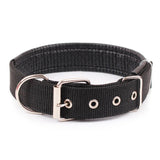 Collier Pour Chien