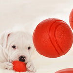 Jouet Balle Chien