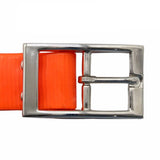 Collier Chien Plastique