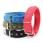 Collier Pour Chien