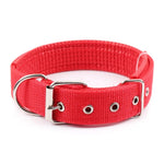 Collier Pour Chien