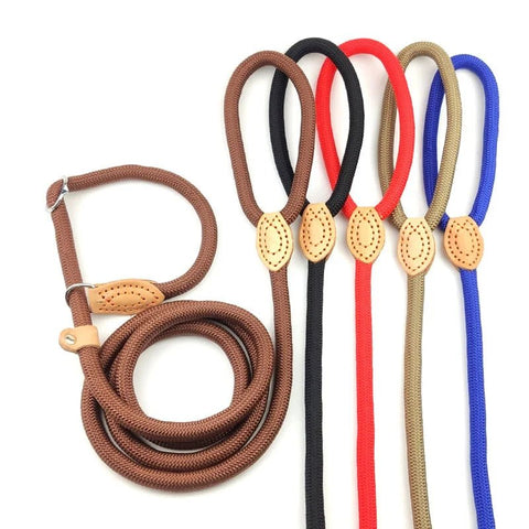 Laisse Collier Etrangleur pour Chien