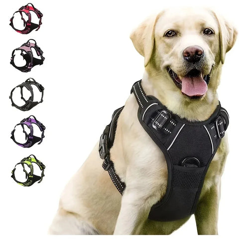 Collier Harnais Chien