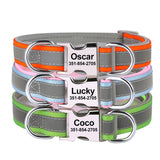 Collier Chien Réfléchissant