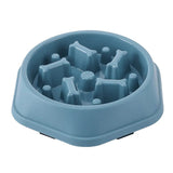 Gamelle Anti Glouton Chien