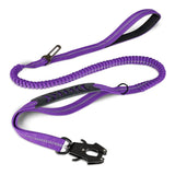 Laisse Chien Extensible