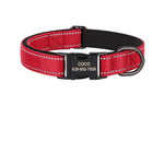 Collier Chien Réfléchissant