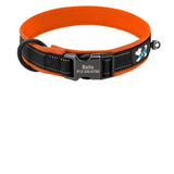Collier Chien Réfléchissant