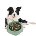 Gamelle Anti Glouton Chien