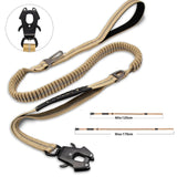 Laisse Chien Extensible