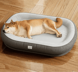 Panier Coussin pour Chien