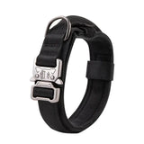 Collier Chien Tactique