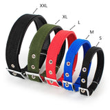 Collier Pour Chien