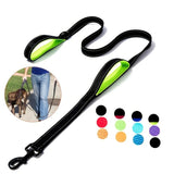 Laisse de Chien
