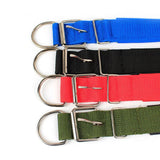 Collier Pour Chien