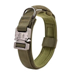 Collier Chien Tactique
