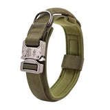 Collier Chien Tactique