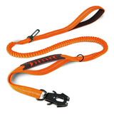 Laisse Chien Extensible