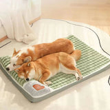 Coussin Hiver Chien