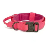 Collier Chien Berger Allemand
