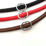 Laisse Collier Etrangleur pour Chien