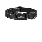 Collier Chien Réfléchissant