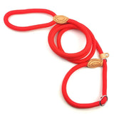 Laisse Collier Etrangleur pour Chien