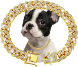 Collier Chien Doré