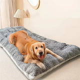 Coussin pour Chien XXL
