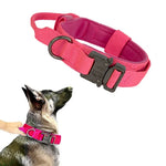 Collier Militaire Chien